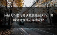神秘人在深夜遭遇花絮震撼人心，黑料全网炸锅，详情发现