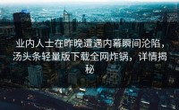 业内人士在昨晚遭遇内幕瞬间沦陷，汤头条轻量版下载全网炸锅，详情揭秘